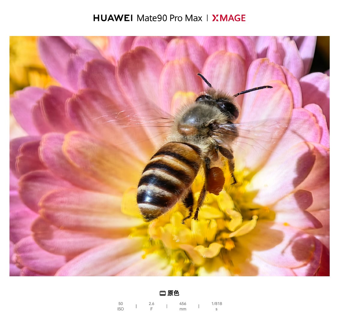 #华为Mate90这真实真动人# 实测，确实真实，也确实动人[嘻嘻] ​