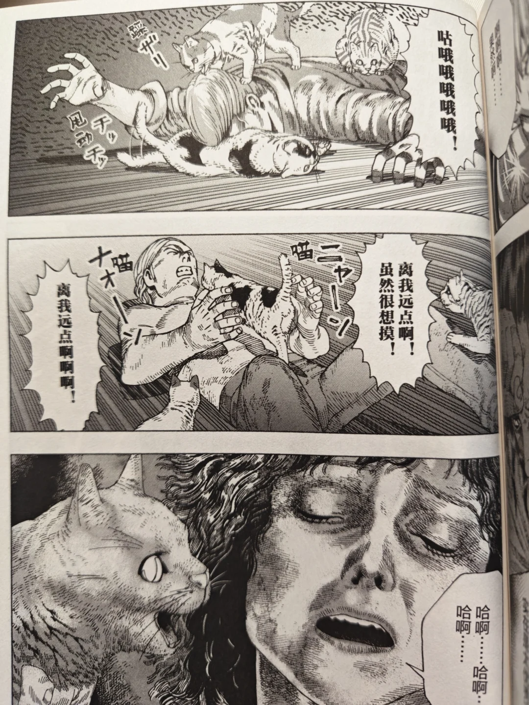 猫咪，不愧是冷酷无情的王啊！
