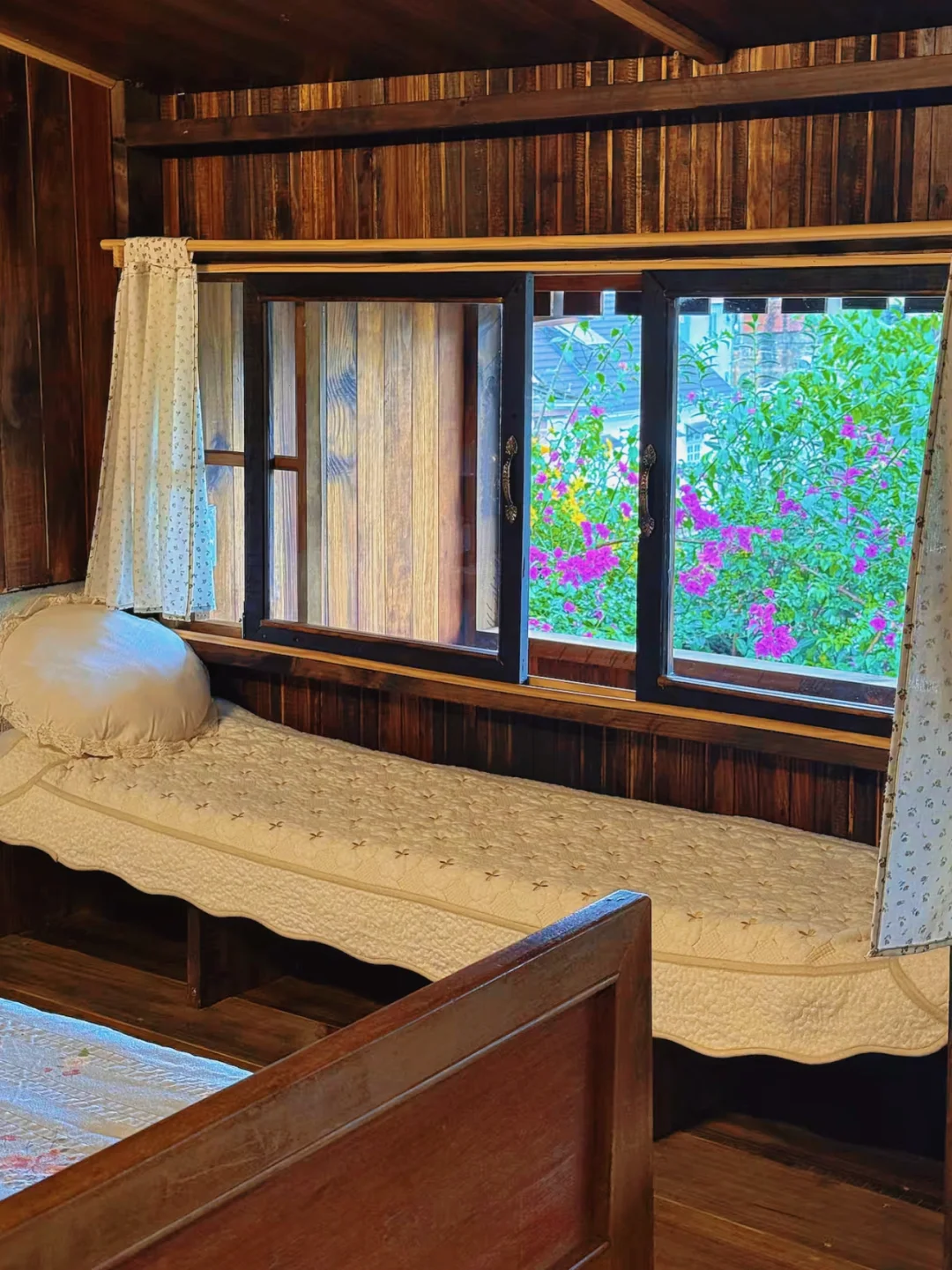 越南大叻💰100多一晚，住进绝美鲜花山景民宿