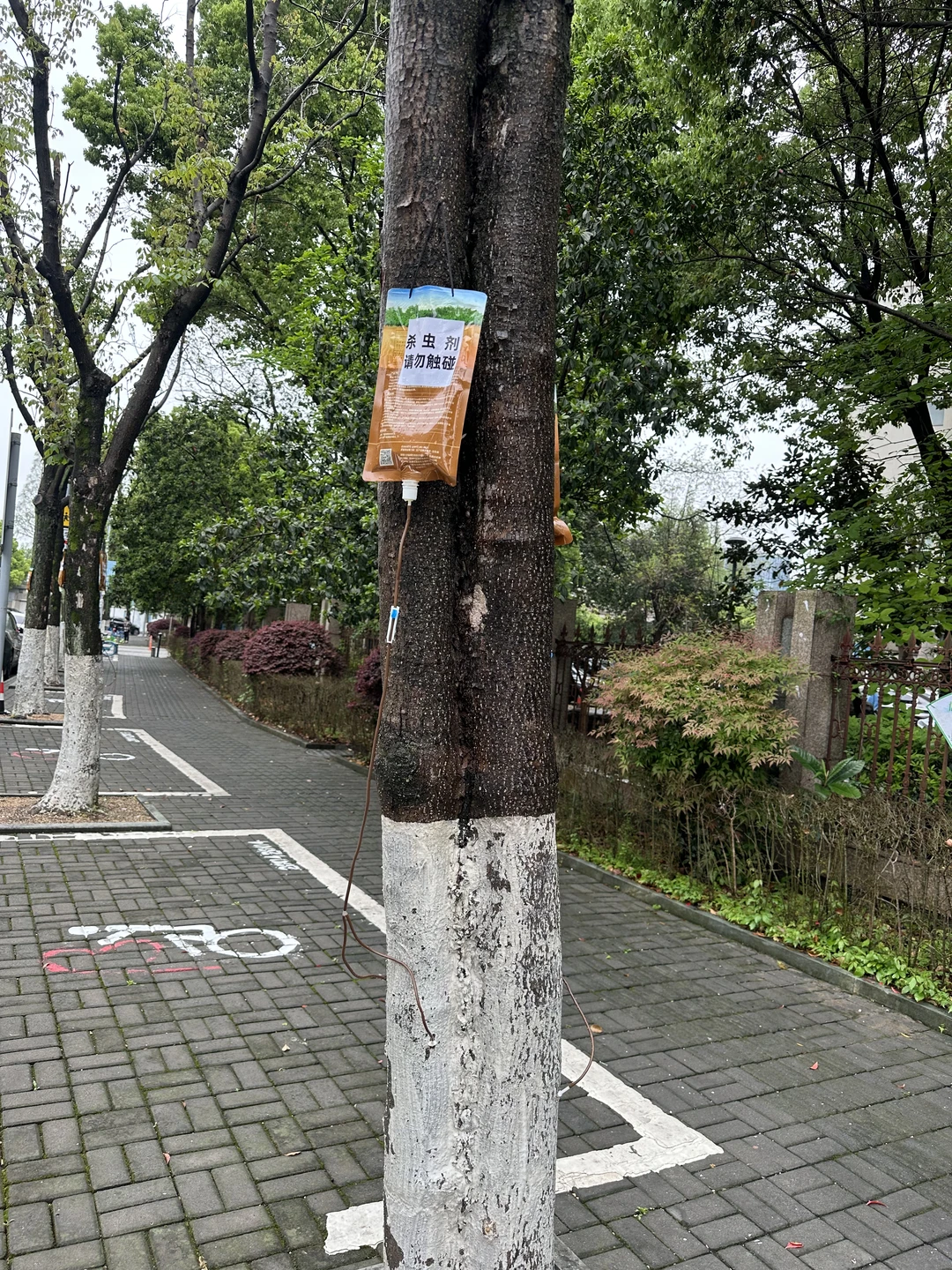 宁波这个是什么？？？？