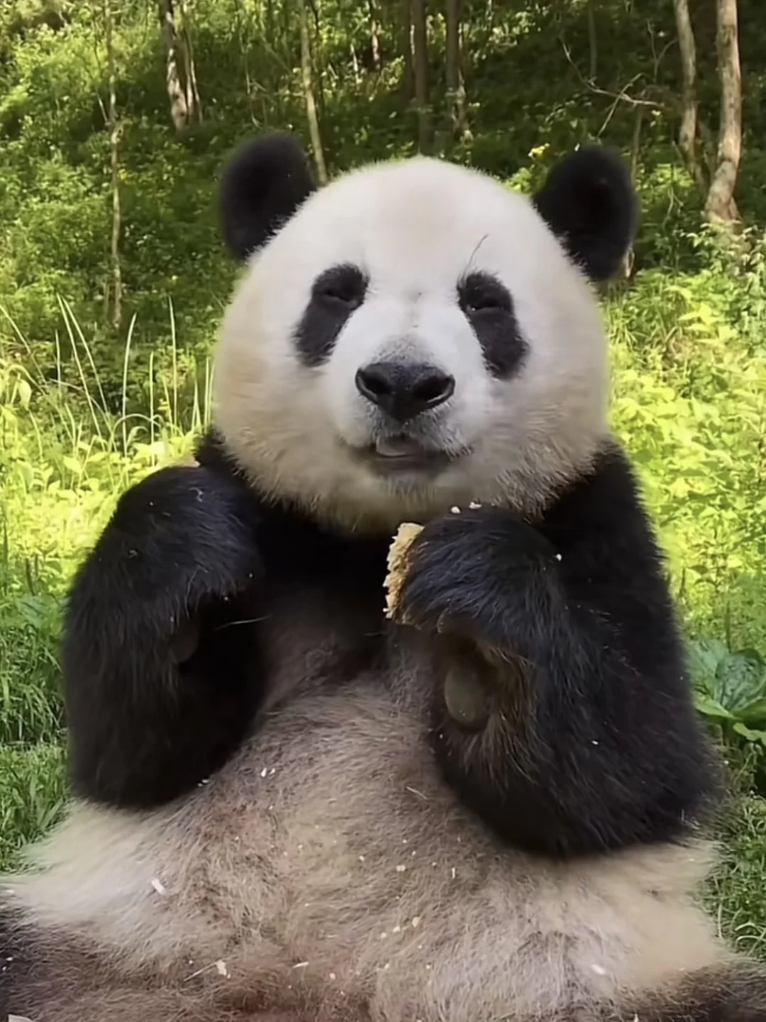 这是什么我尝一口…