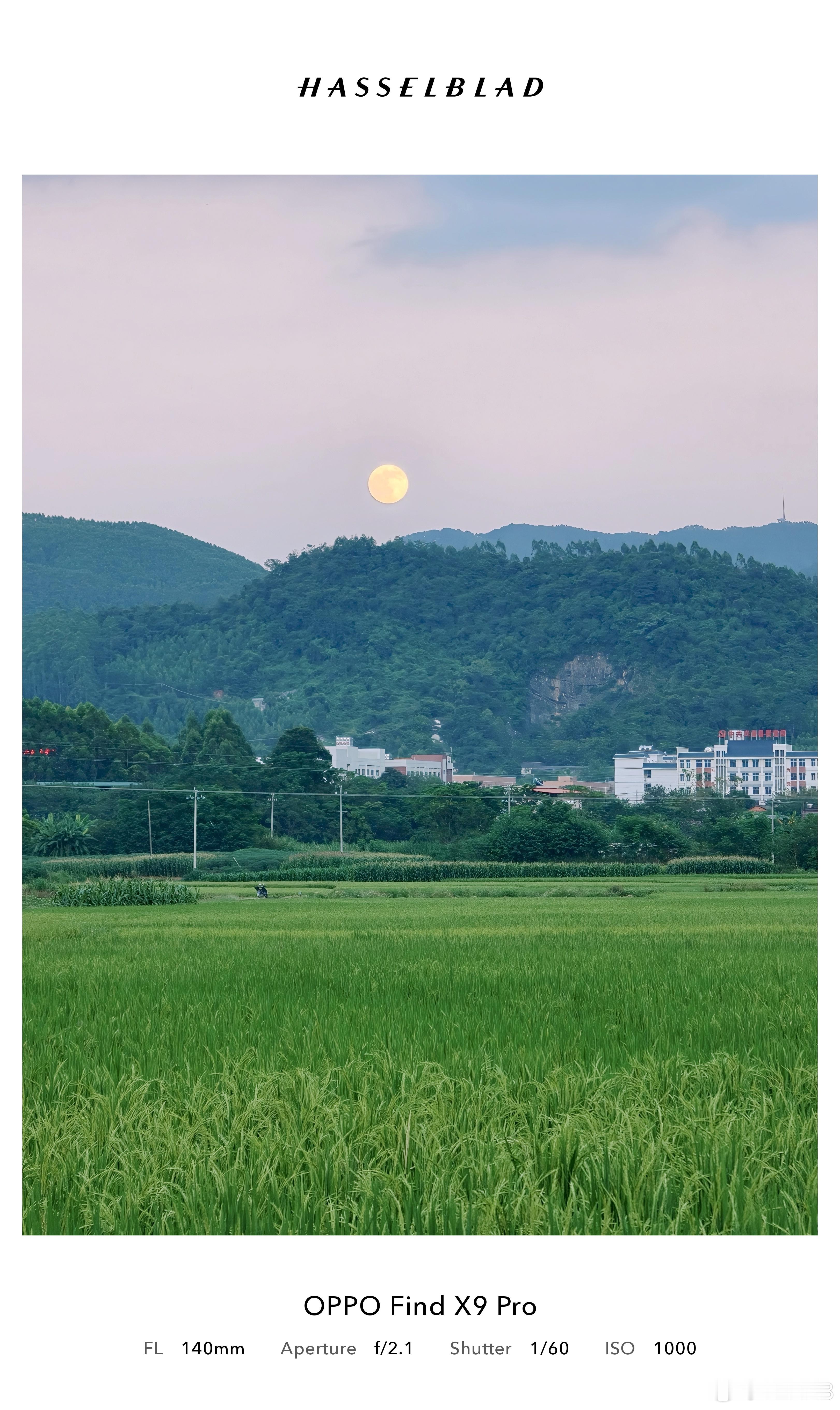 中秋月起青山
#摄影灵感上新##我用快门摘月亮#

临近夜晚，暮色缓缓笼罩整片山野，中秋圆月早早浮现在黛青色的山顶上空。
一望无际的玉米田分列土路两侧，蓬勃的绿意填满视野。简陋的乡间土路并不平整，来往的村民穿梭其间，步履匆匆。
很多时候中秋的印象总是团圆、热闹的画面，但眼前所见，却是一份 ​