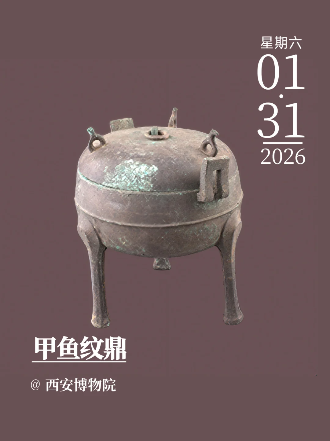 每天带你认识一个文物 | 甲鱼纹鼎