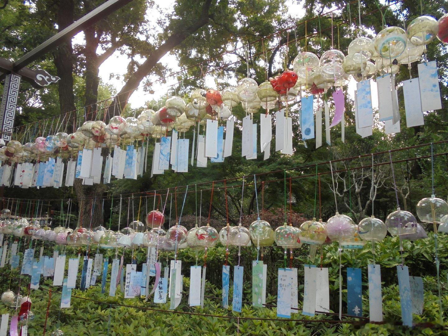 #ccd[超话]#  出自用 买来没怎么用过 索尼w810 
2010w像素 6倍光学变焦 伸缩式小长焦镜头 出片画质一流  可拍可录 ​
