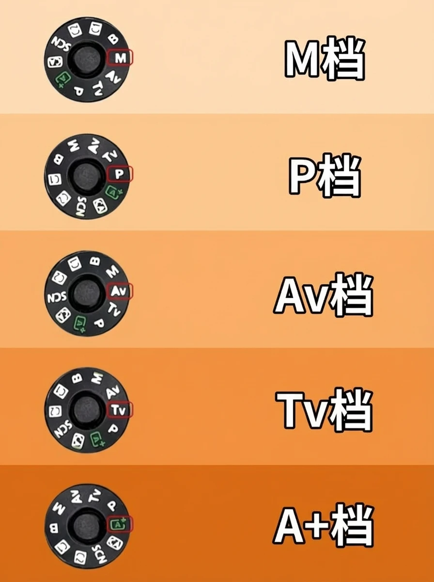 当我学会了相机的五大档位‼️