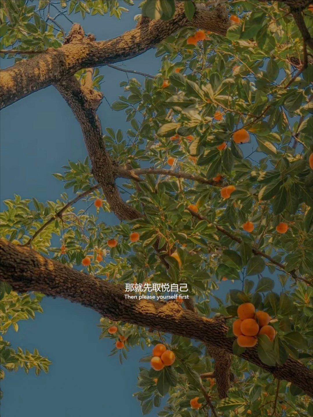取悦自己，按心而活。 ​​​