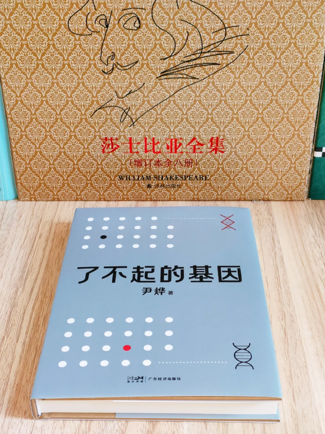 我真的太喜欢这本书了！太太太有意思了！