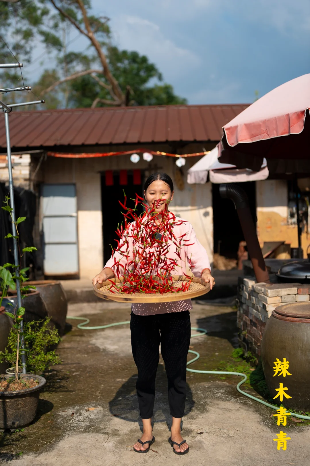 谁说秋天只有一种颜色？