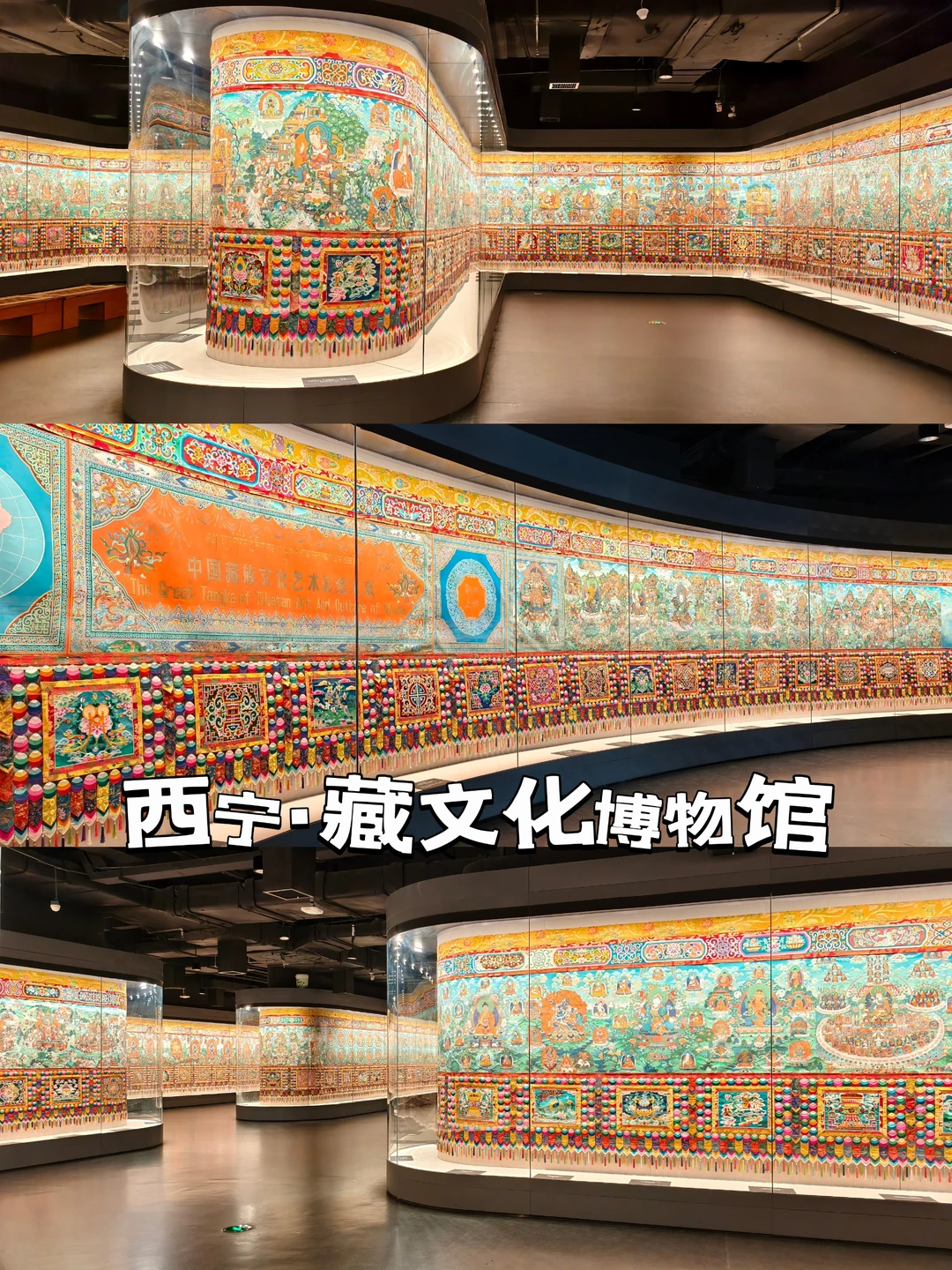 去西宁99%都不能错过的博物馆