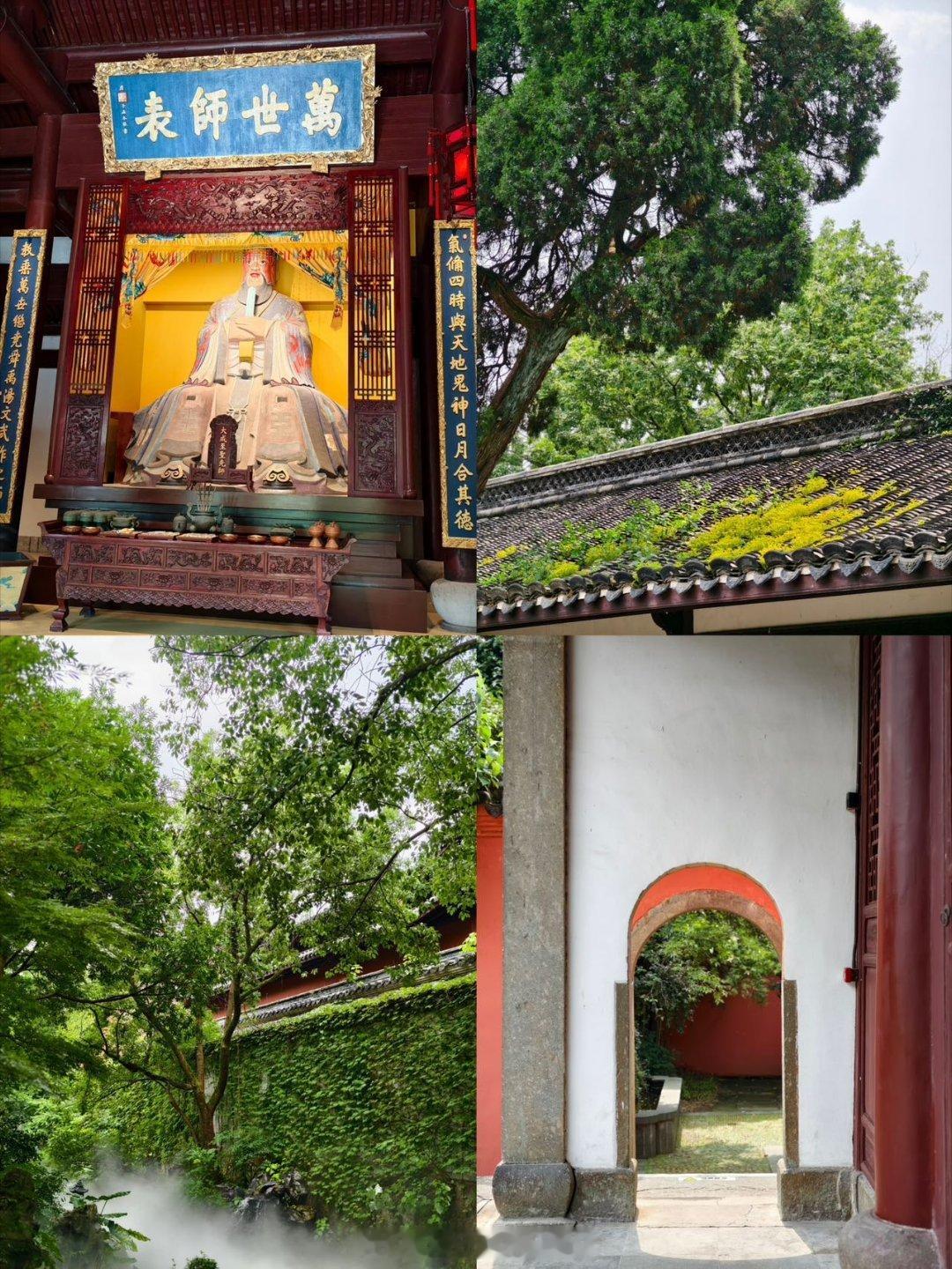 🚗超精彩自驾之旅正式出发！乘船观赏千岛湖绝美湖景，打卡鹿岛绣球花海，驰骋险峻壮美的徽州天路，一路收获观景台、古村、瀑布绝美风光。走进根宫佛国，惊叹根雕艺术的巧夺天工；游走衢州古街古迹，沉浸式领略儒家文化与传统棋艺。最后流连田园乡野，在民宿、文创与田园咖啡里，感受乡村新生。一路山水相融，文脉绵长，每一段路程皆是惊喜。“共饮一江水,相约杭衢黄”自驾游推广活动