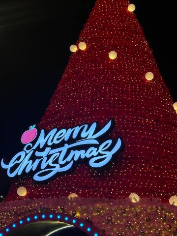 特别搞笑  外面装扮的很漂亮 全是男生在给女朋友拍照  我们仨就在边上...