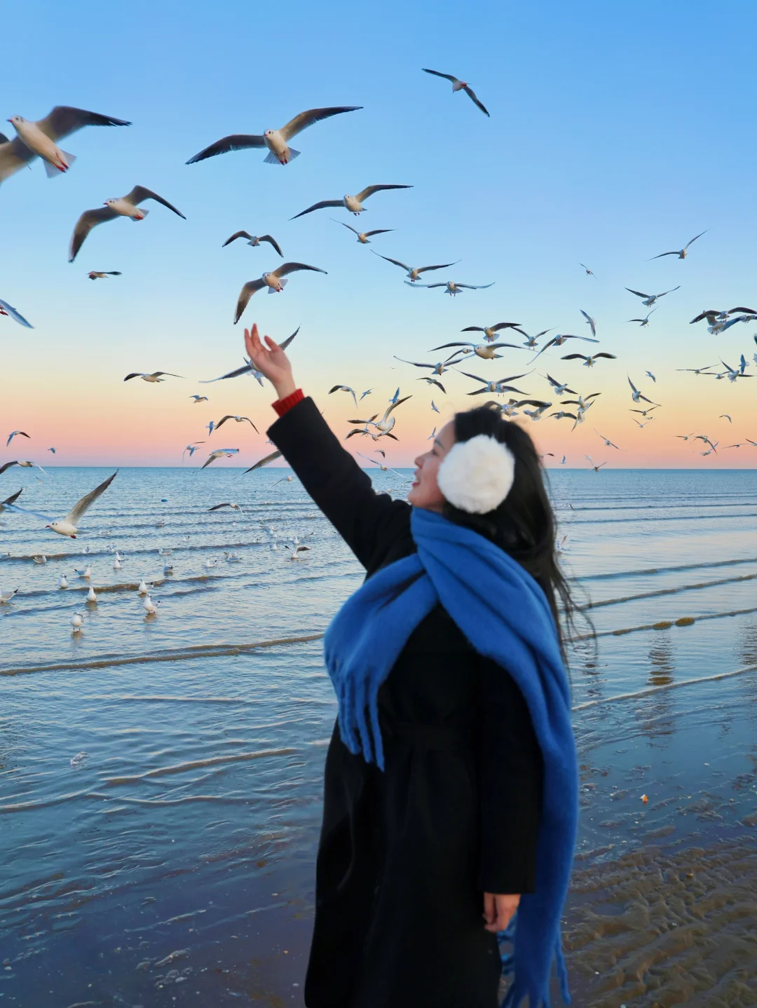 记住这❸个时间&地点‼️天津海鸥巨多