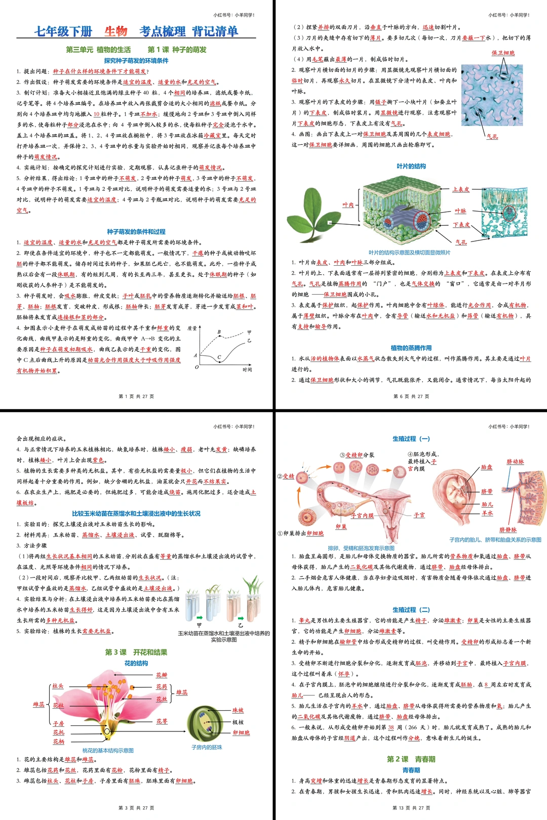 🧬七下生物救星！背完直接逆袭年级前10！