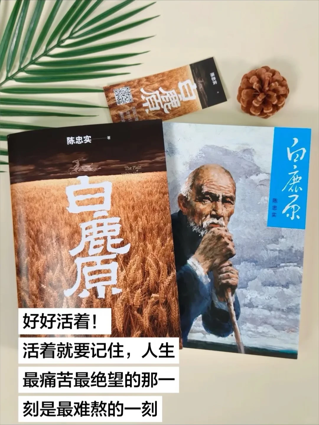 好好活着❗️活着就要记住‼️