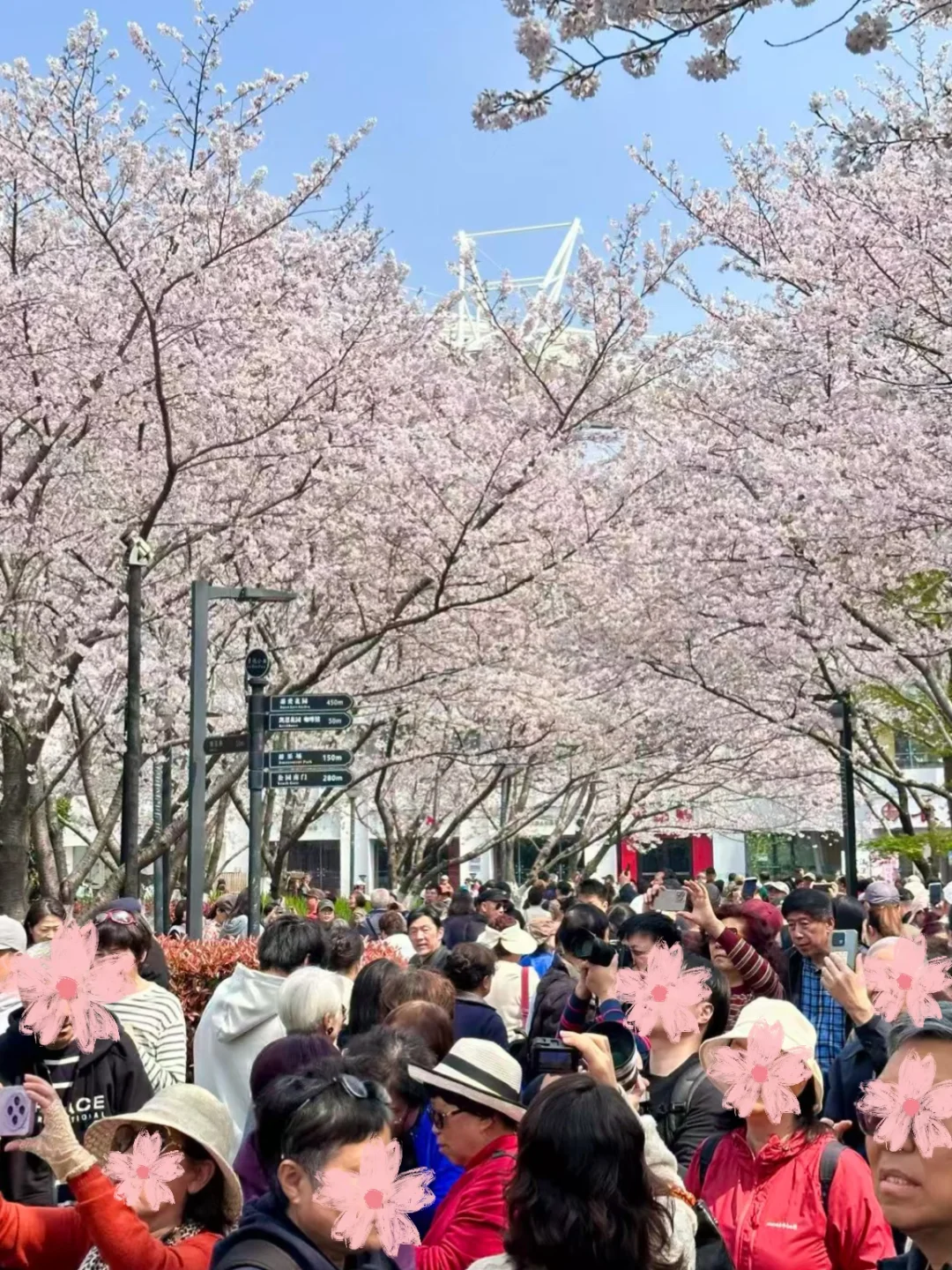 上海所有的无业游民都在这了吧‼️