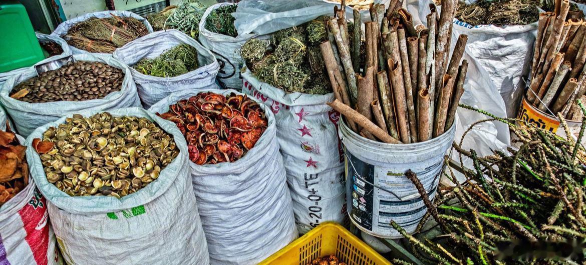今天发布的关于加强传统医学研究的新议程指出，全球数十亿人将传统、补充和整合医学作为医疗保健的一部分，但全球卫生研究资金中用于研究这些方法何时安全、有效和适宜的比例不足1%。与此同时，非传染性疾病每年夺走超过4300万人的生命，各国正寻求新的解决方案以减轻疾病负担并加快实现 ​