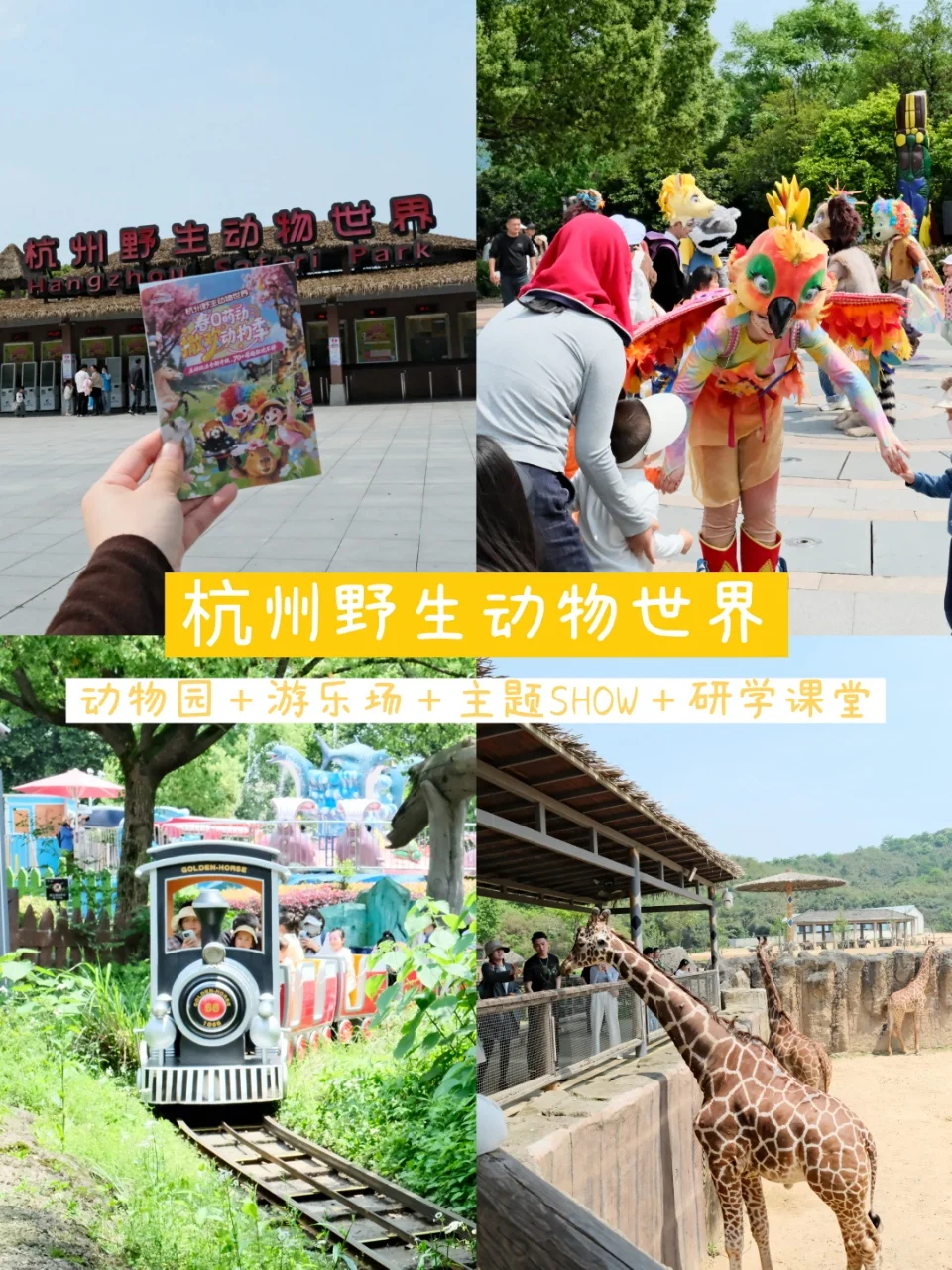 春假去哪儿｜冲杭州野生动物世界，多重体验