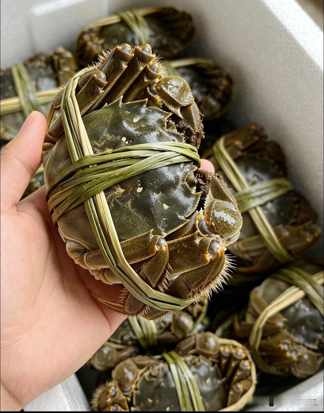 中秋刚过，大闸蟹直接降价过半，月饼三折甩卖：节前囤货的人，亏在哪了？
中秋一过，菜市场、超市的价签，明眼人一眼就能看出变了。
最先价格跳水的当属大闸蟹。节前，精品蟹能卖到上百元一斤，想买的人还得趁早排队。据九派新闻报道，中秋刚过，多地海鲜市场的大闸蟹售价明显回落，节前涨到百元一斤的精品蟹，节后价格直