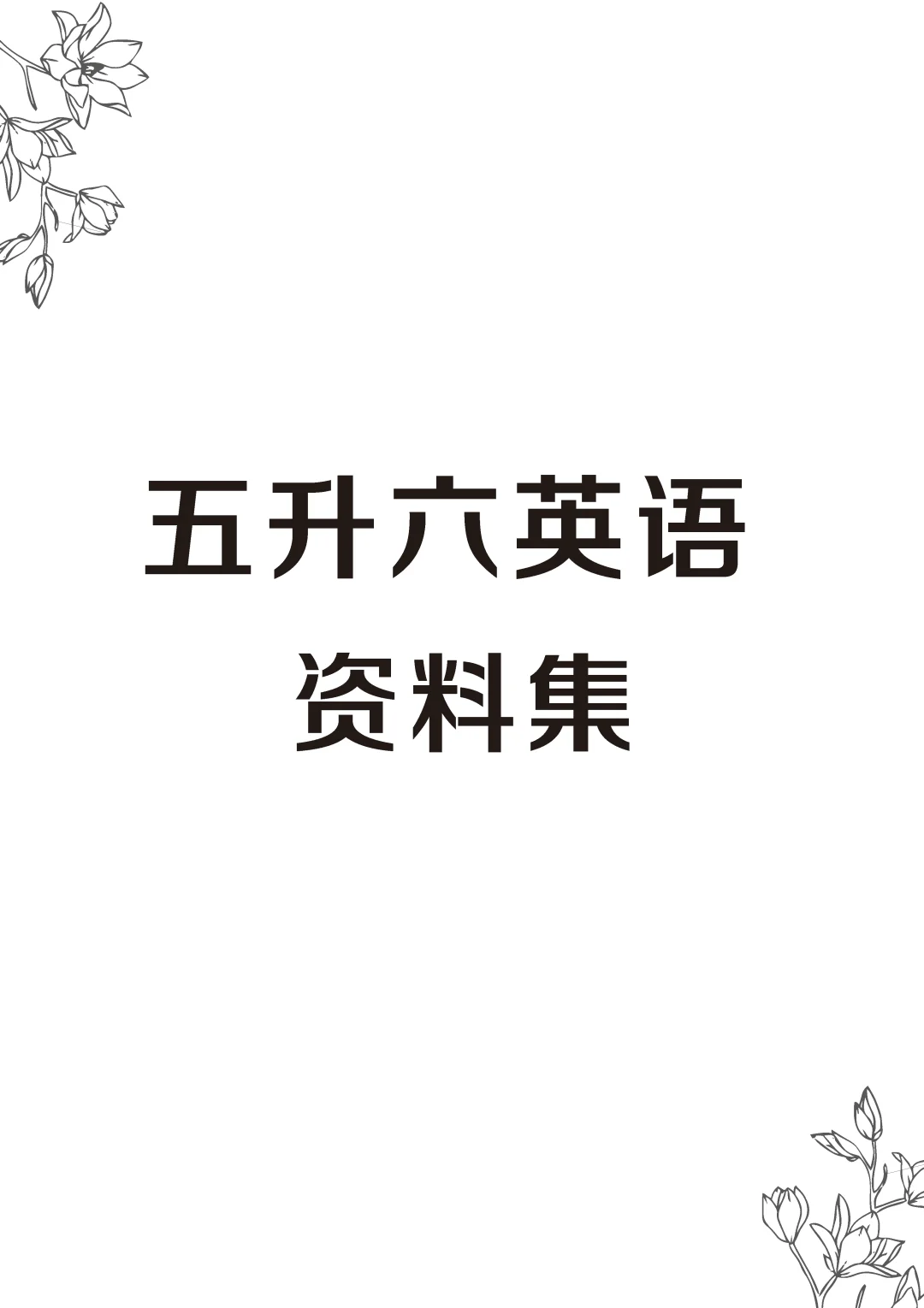 5升6五年级下册英语暑假练复习预习街接