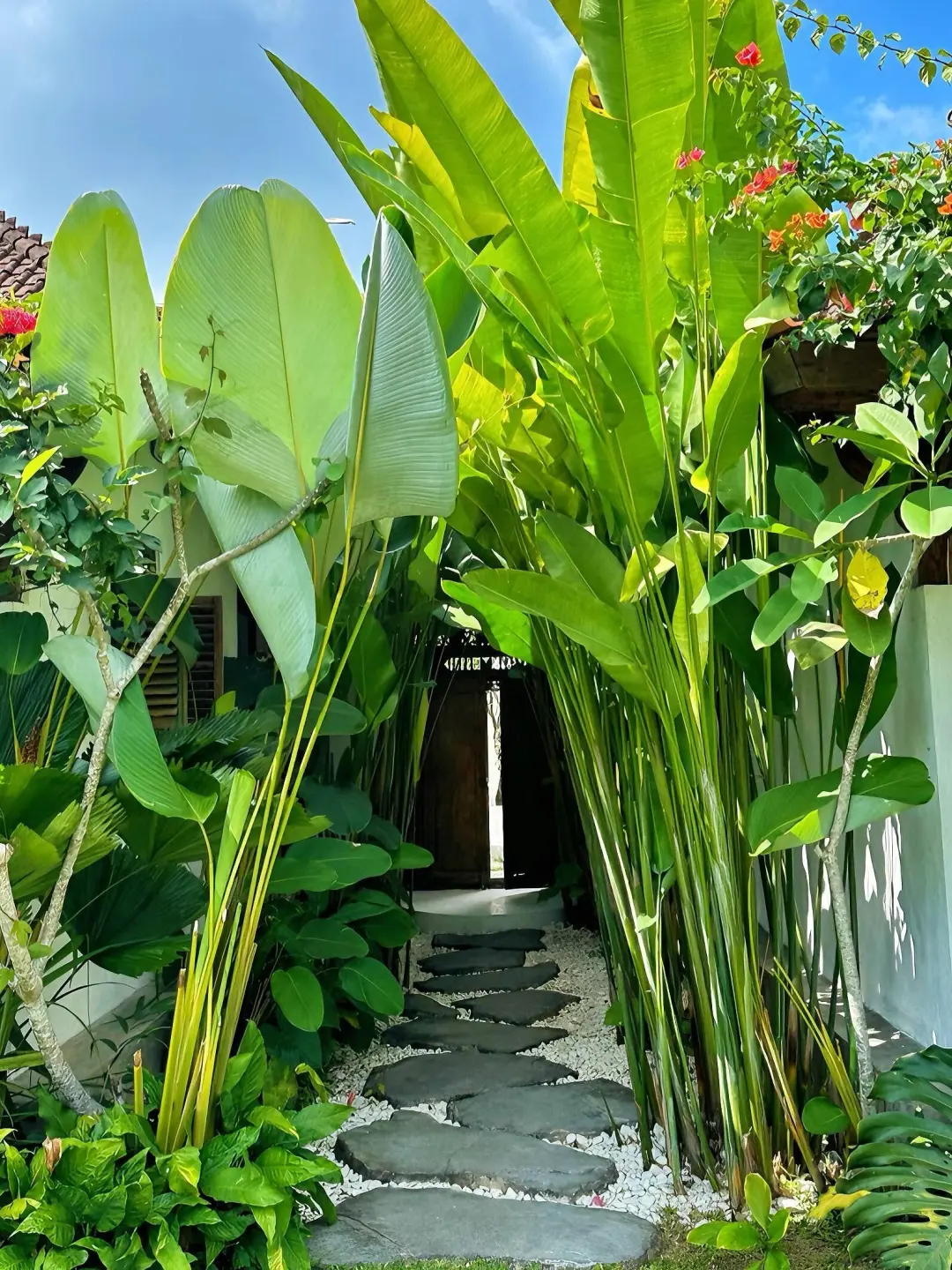 巴厘岛🍃这3家绝美泳池villa真的太好住了😭