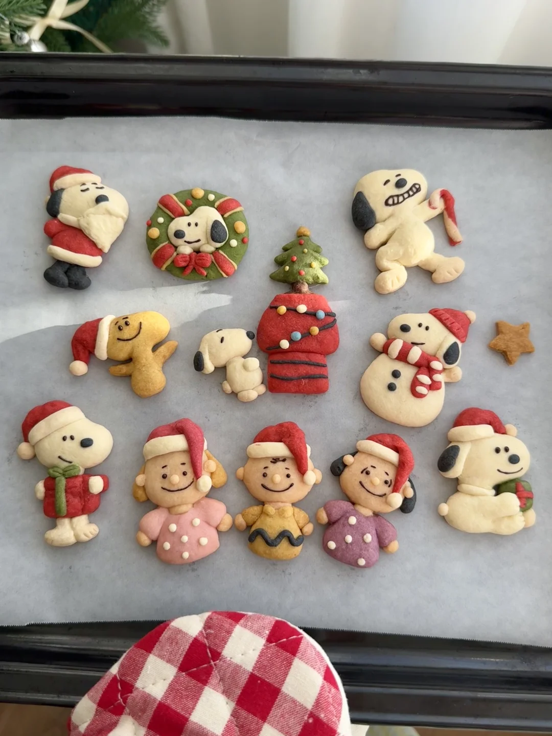 👩🏻‍🍳烤一盘(・´｀Ｕ soopy曲奇