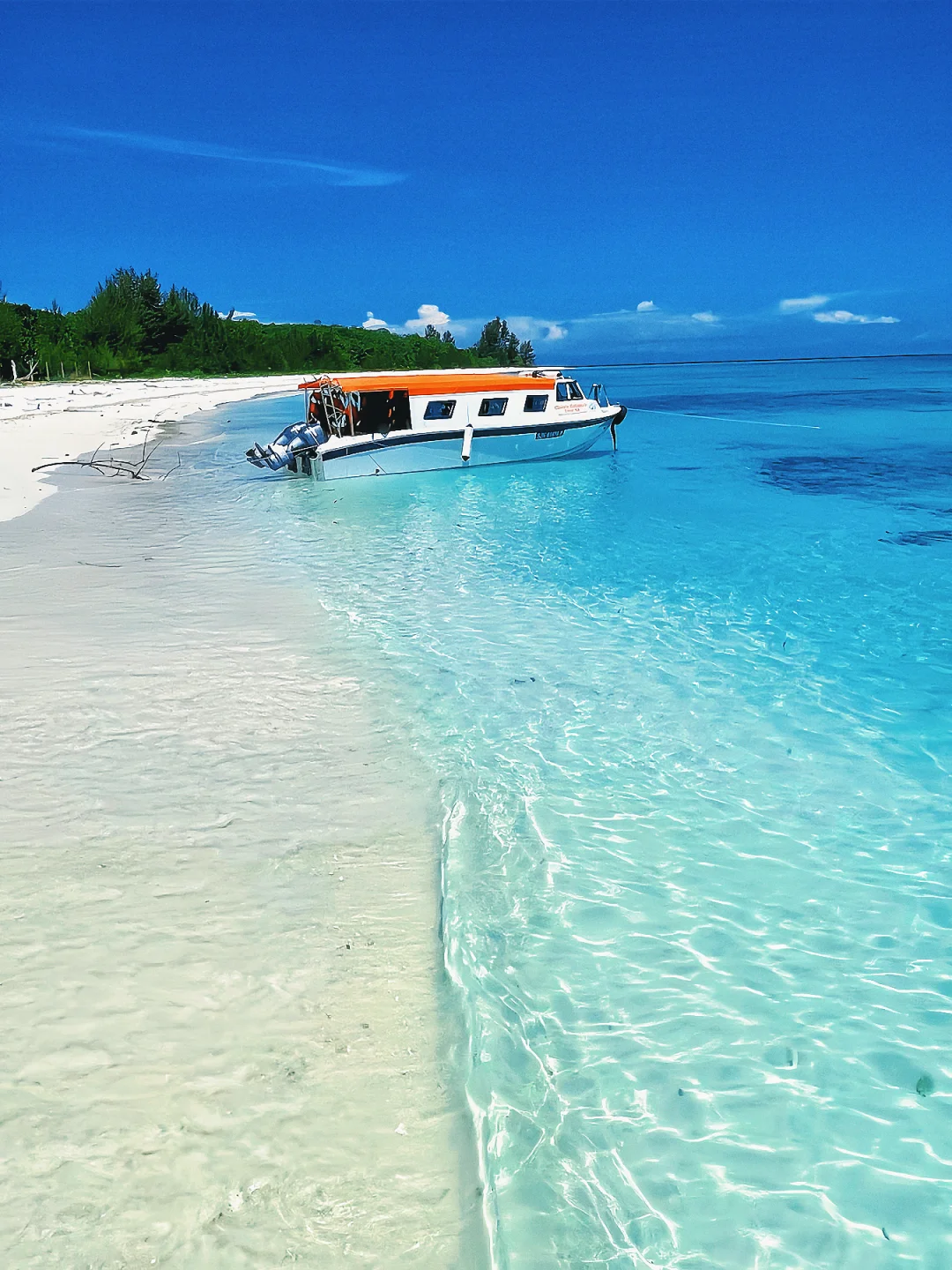 接下来的环滩岛，果冻海美到失语！附详细攻略