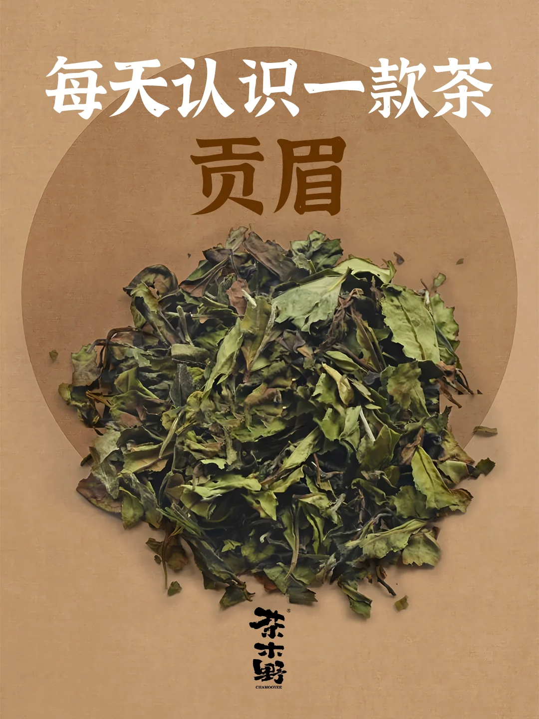 知识分享丨一分钟了解贡眉