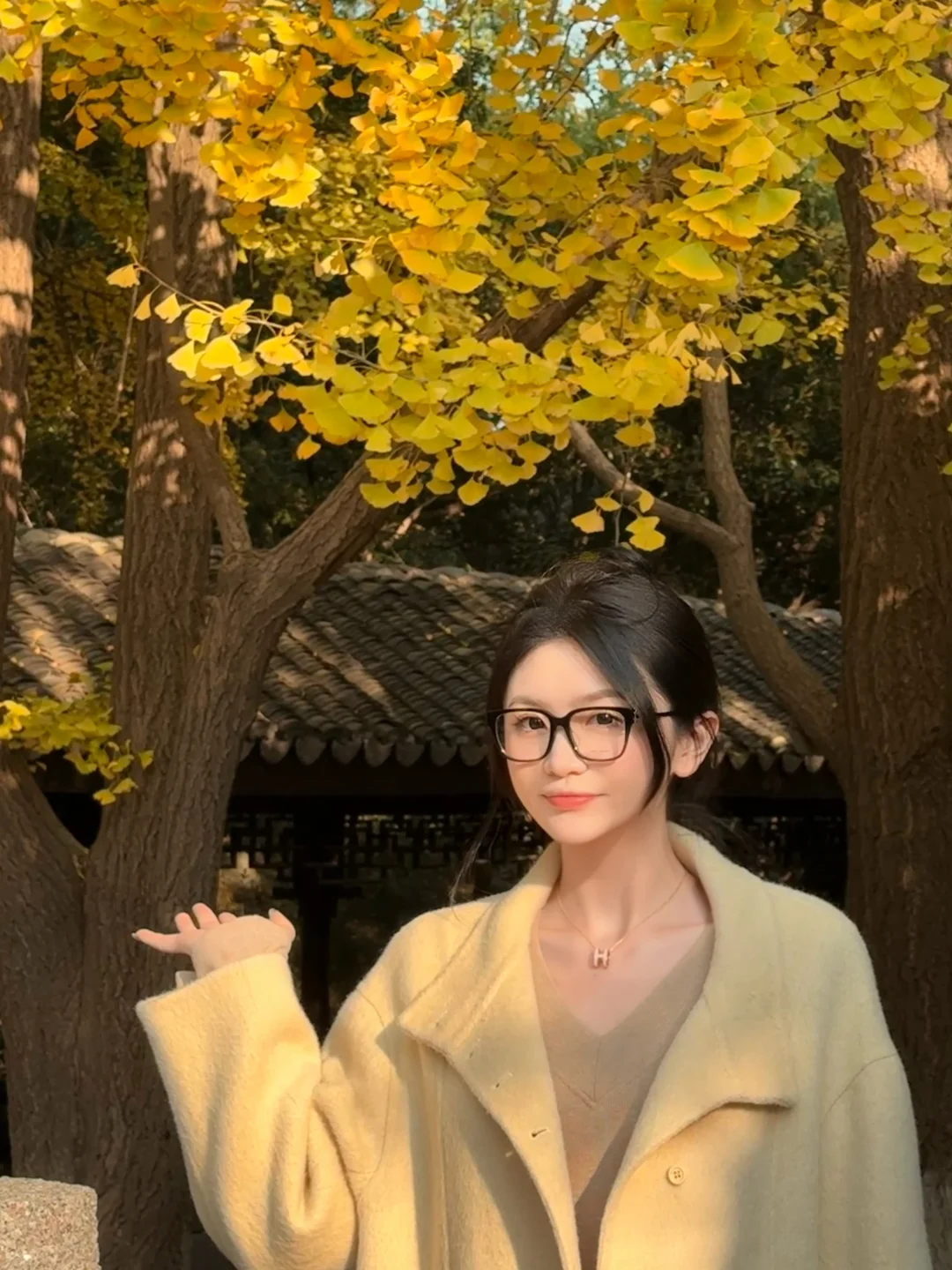 11.23 常州红梅公园的银杏黄了，太好拍了