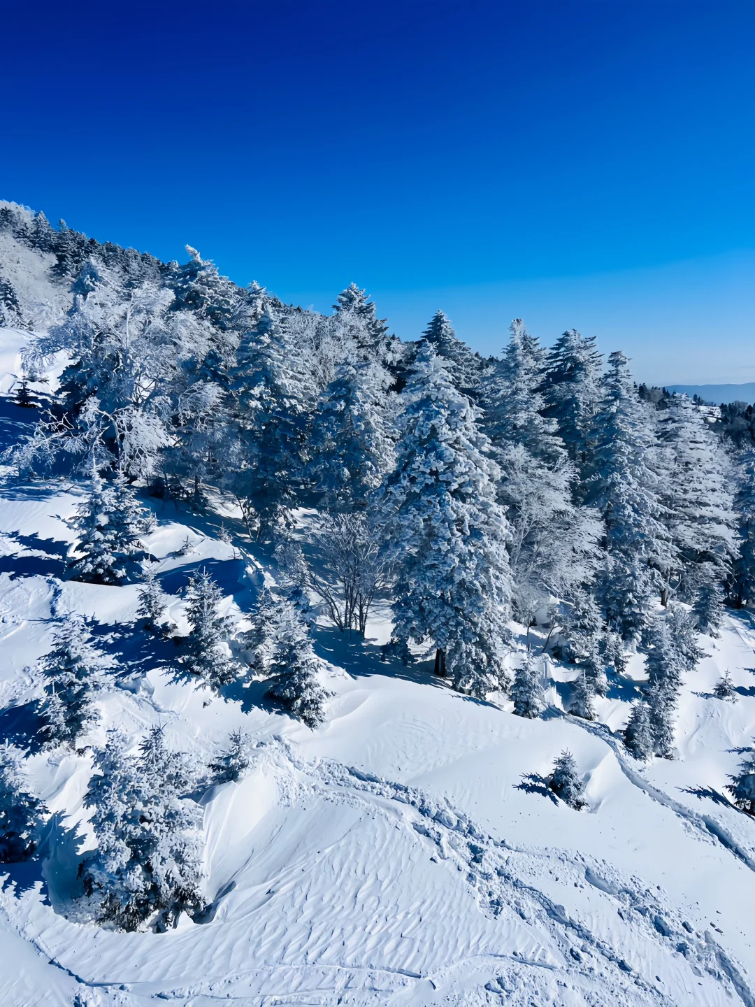 北大湖滑雪+温泉一站式躺平🎿房券速囤