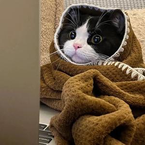 橘子超甜超好吃