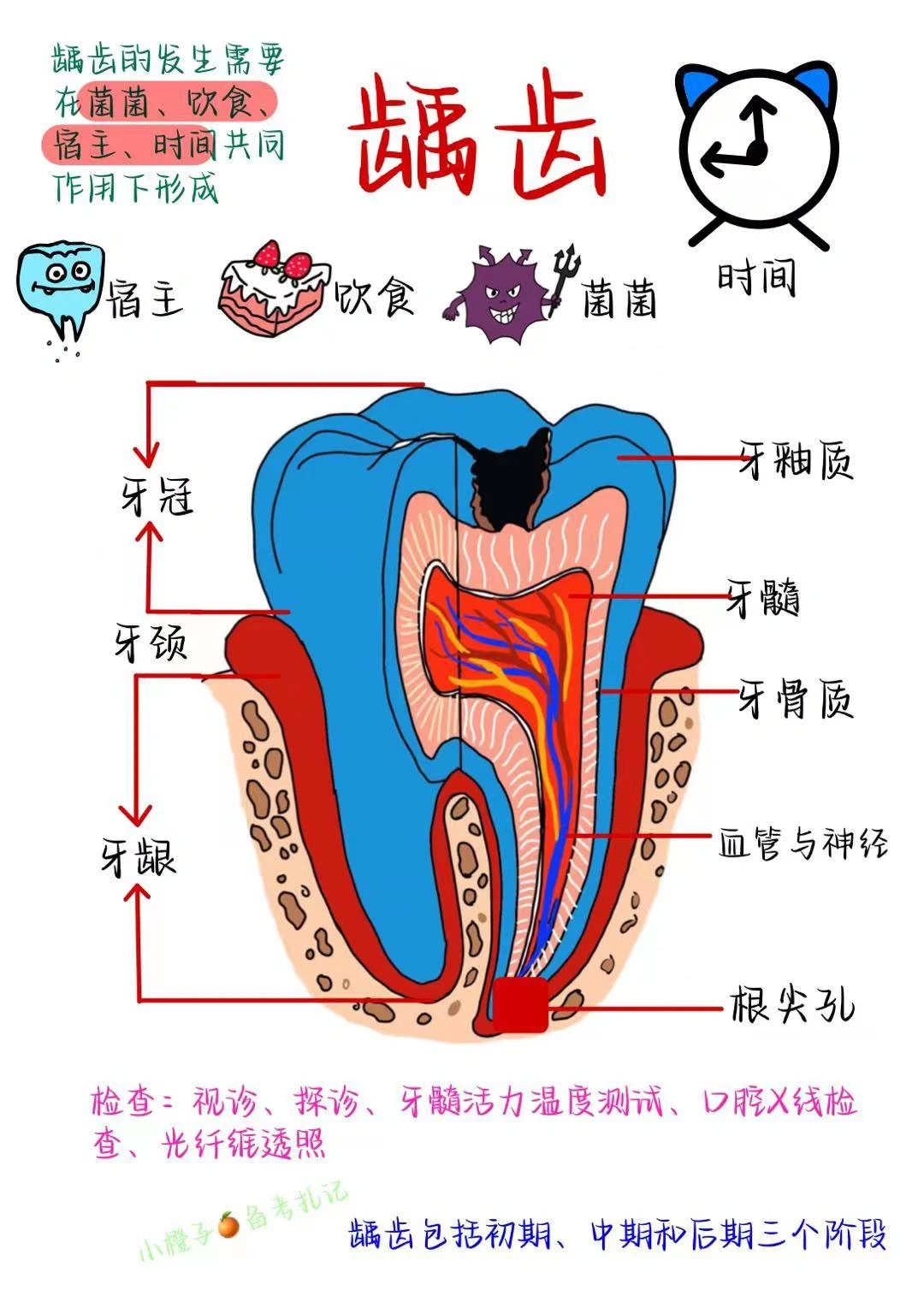 年纪轻轻为啥一口蛀牙！还不赶快重视起来！