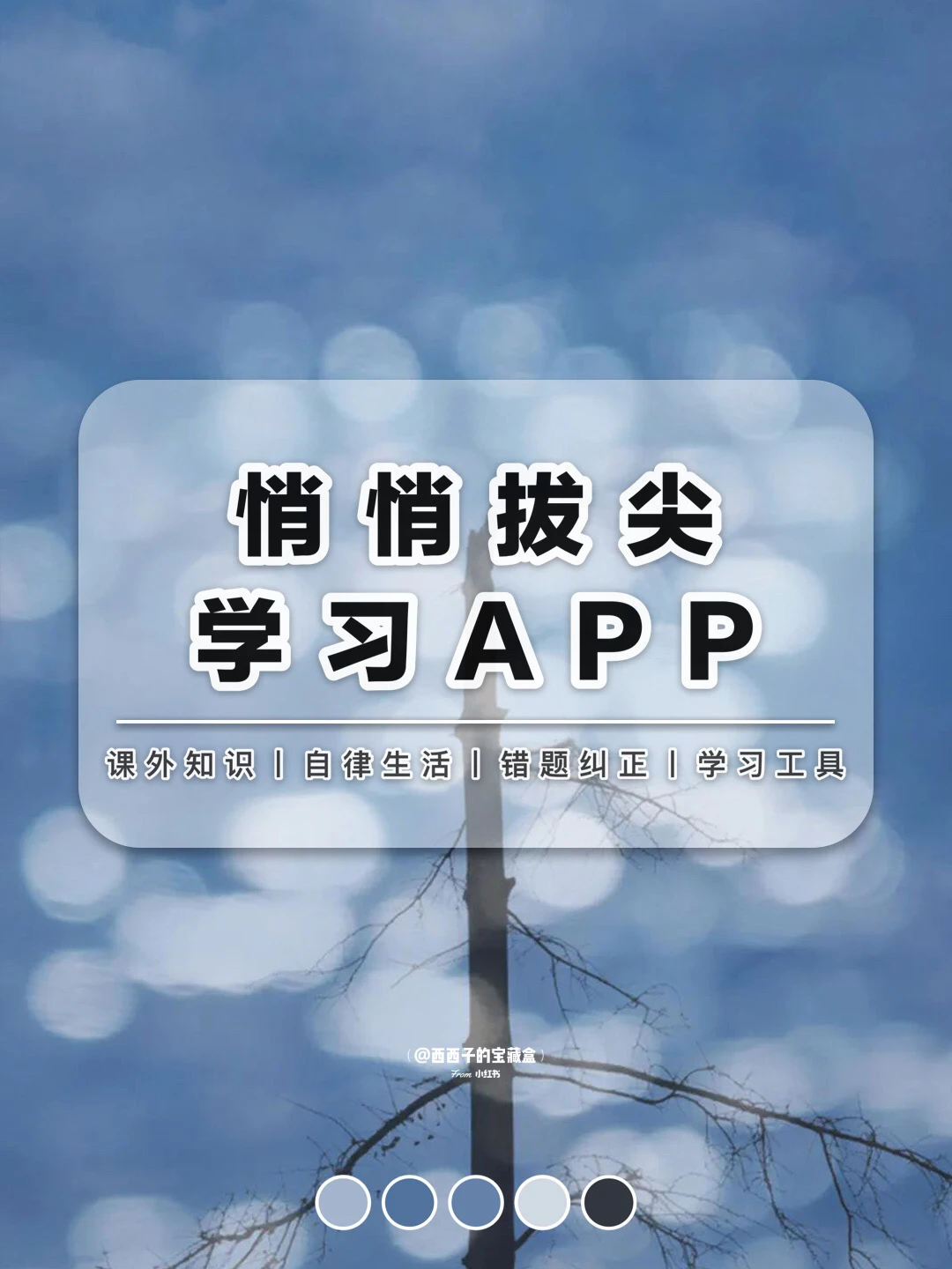 悄悄拔尖学习APP丨让你更优质的打发时间