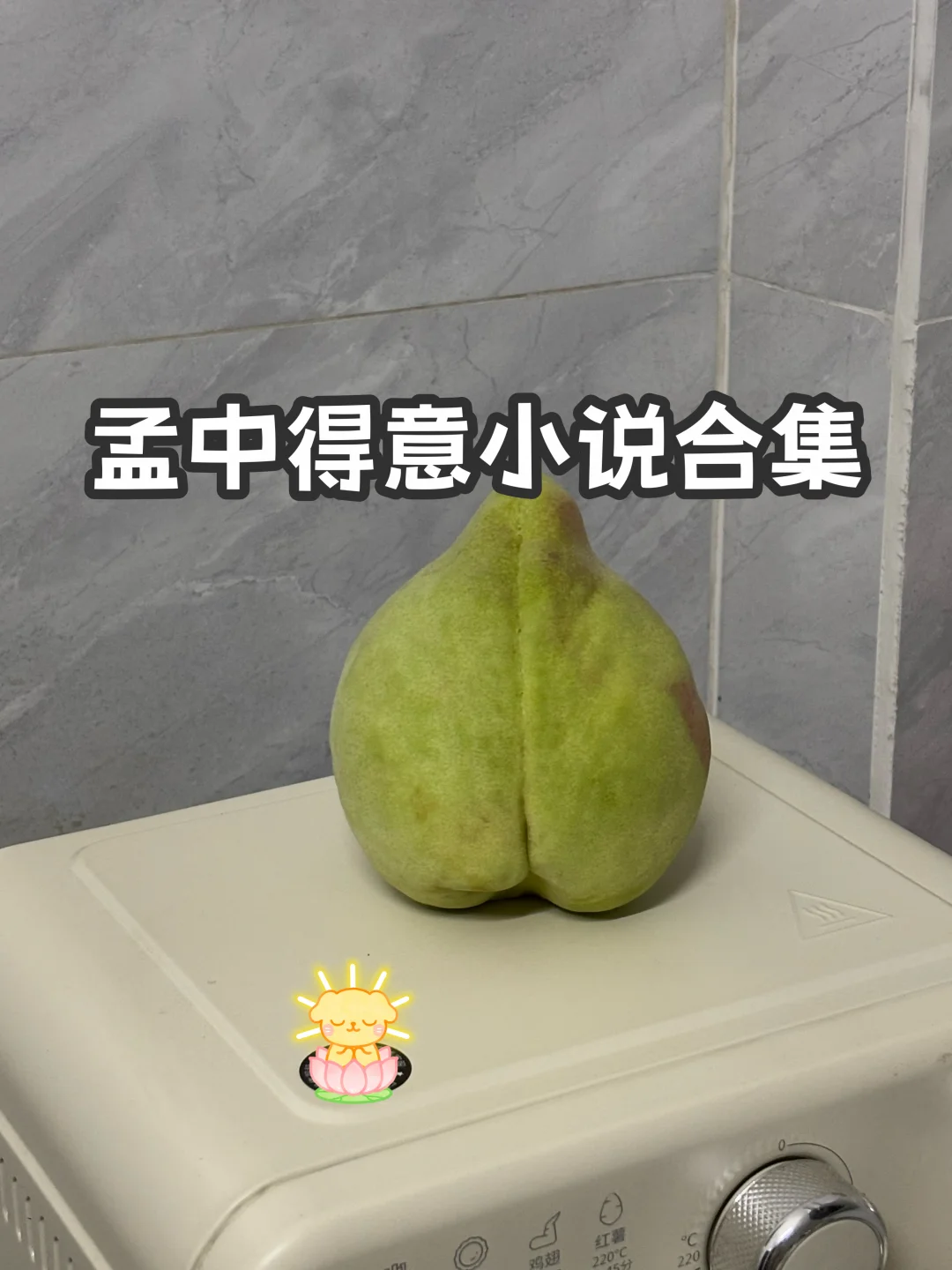 宝藏小说大大—孟中得意