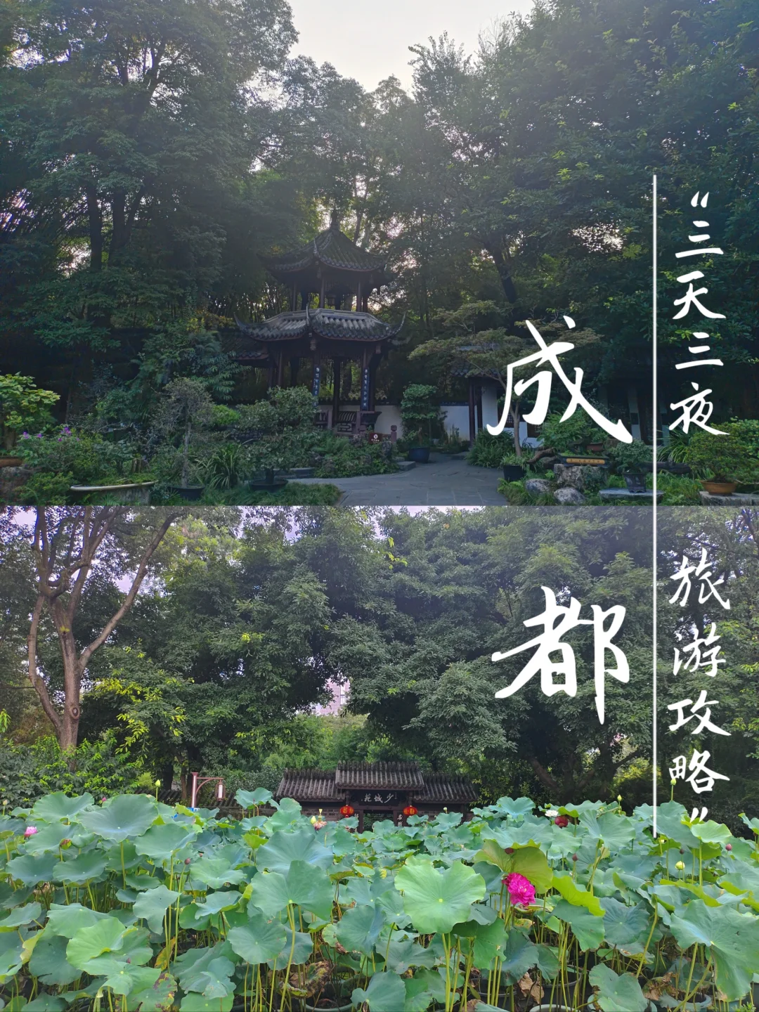 大学生穷游成都💰3天3晚共花费753块❗