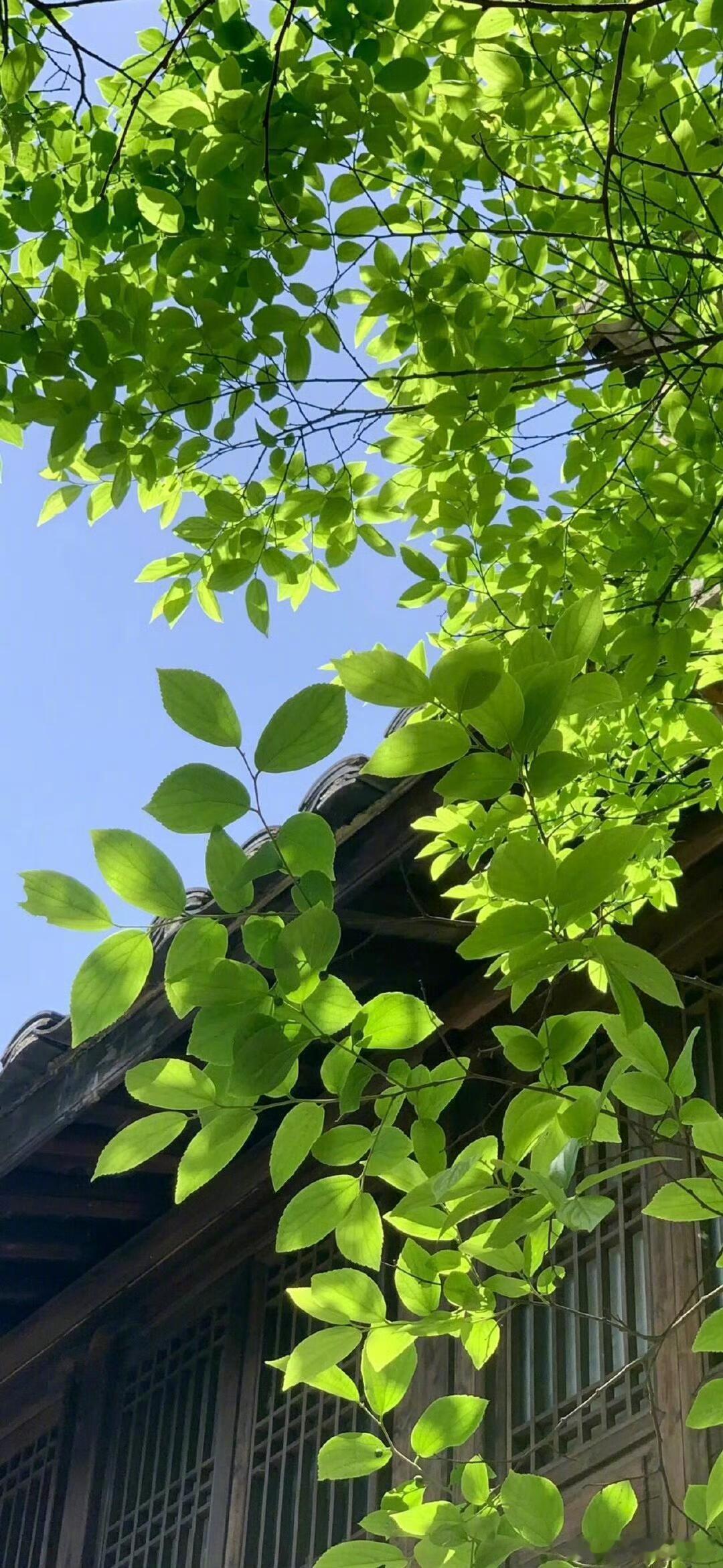 罗萨斯顾不得咯额我举动格拉托们住格拉塔斯汉兰达哈伦裤某见哈哈哈 ​