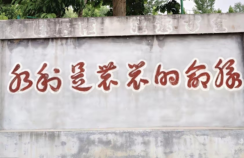 本人才疏学浅！这些字愣是没看懂，书法高手们帮看看，谁懂啊？
