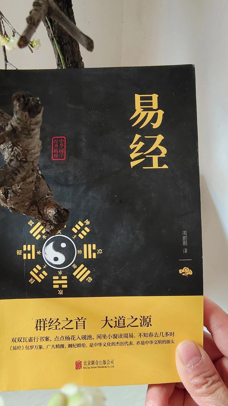 觉醒者的眼里，任何事情都是相通的，没有解决不了的，也没有什么放不下的。想想死亡，一切都能放下，开心快乐才是真的活着，其他的负能量都是走在死亡的路上。真正的自由不是逃离，而在于面对与接受。

#三铜钱佛教语录[超话]# #盗取天机#  #杨幂听到沈腾嘴瓢的反应# ​