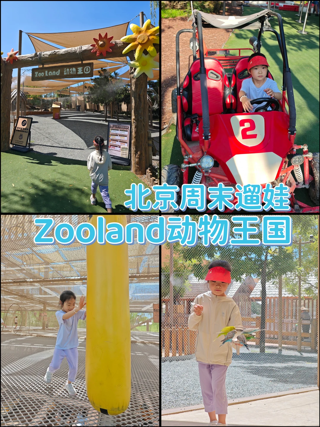 一票畅玩！Zooland动物王国孩子玩到不肯走