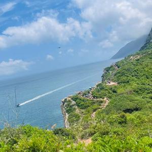 乐观的黄油饼干