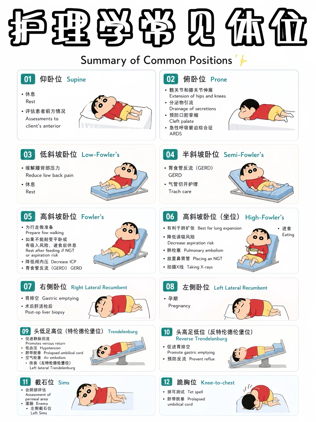 备考RN/常见体位！！学！！单词