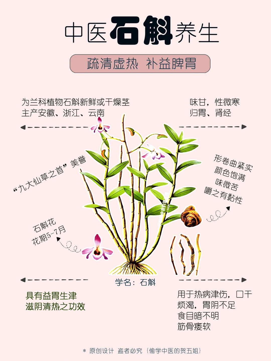 06养生课堂📝石斛🌿滋阴润燥👅养胃益脾