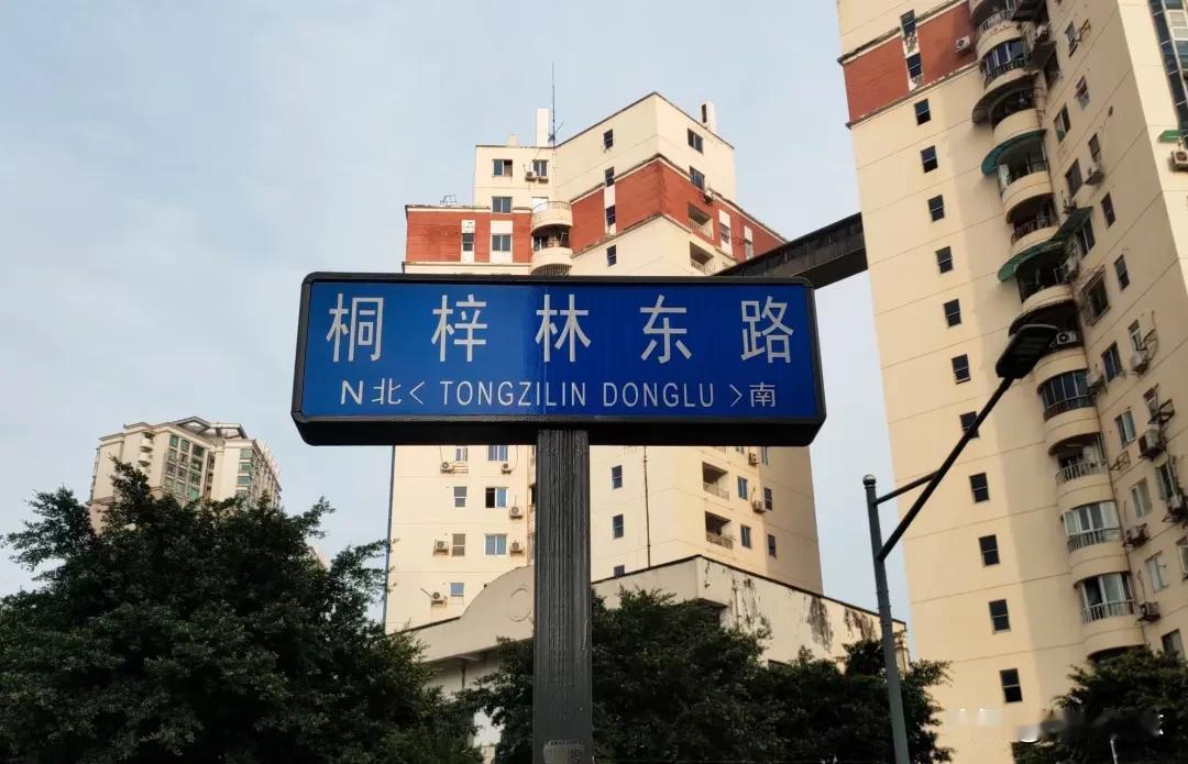 成都的地名——桐梓林
       桐梓林属于武侯区火车南站街道，在南二环、人民南路四段南侧，紧邻火车南站，是成都最早的国际化老牌高端居住区，被称为成都“南富”的起点。
       古时这里大片生长油桐树，原名桐子林；清末文人雅化改成桐梓林（桐、梓两种树木）。清代《华阳县志》记载此地曾有“桐子林场