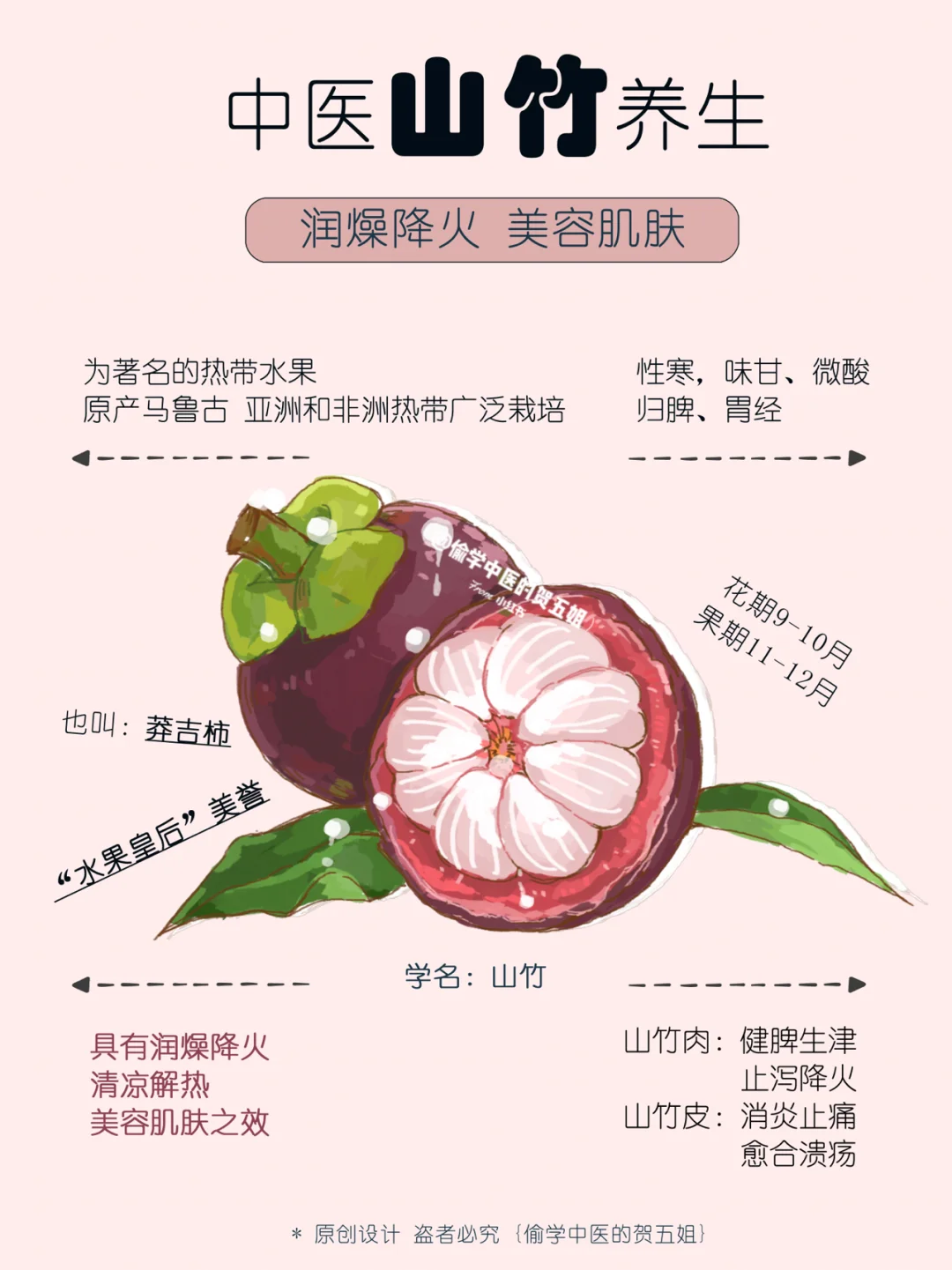 21养生课堂📝山竹🌿润燥降火 美容养颜💡