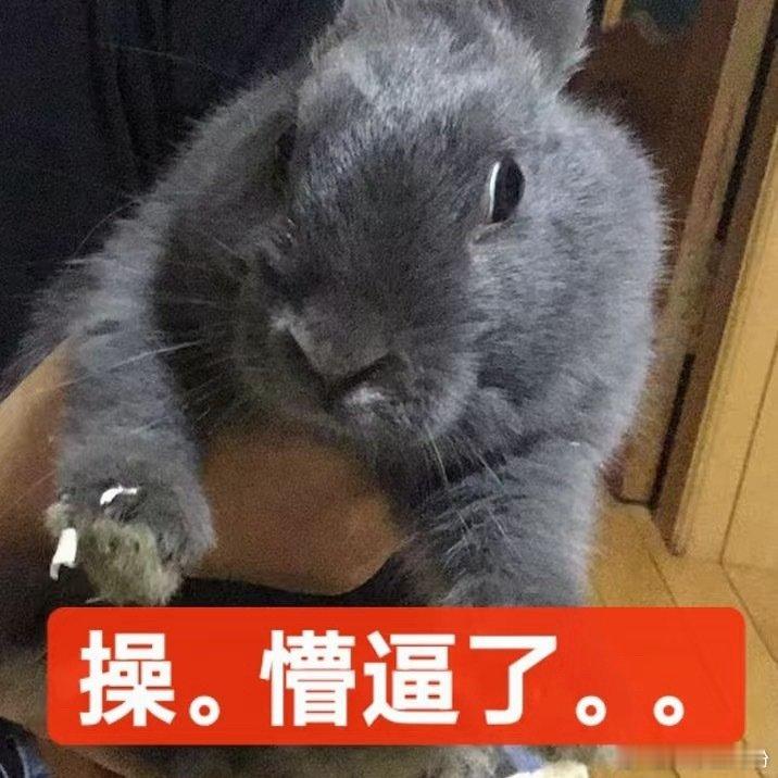 目前是醒醒妈妈人格
汤唯嗑藕饼 cp 人格
贾樟柯看红果人格
简而言之就是
踏实过日子人格 ​
