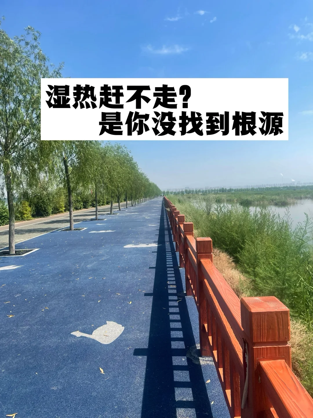 湿热赶不走，是你没找到根源.