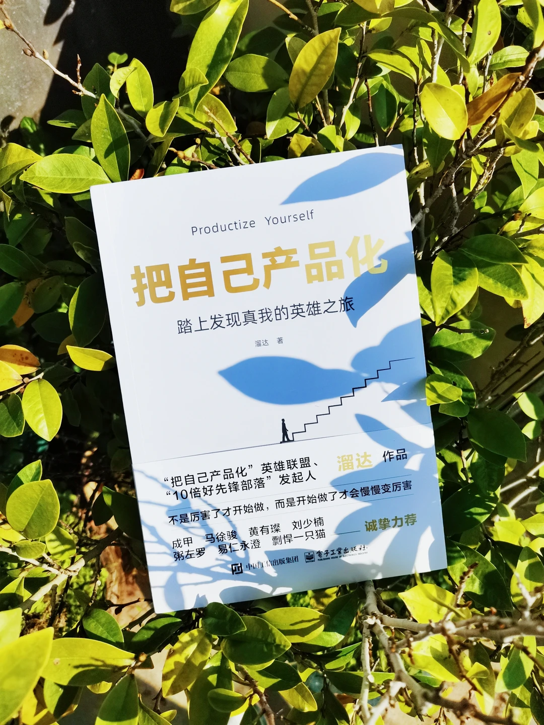 真的可以只工作，不上班啊！