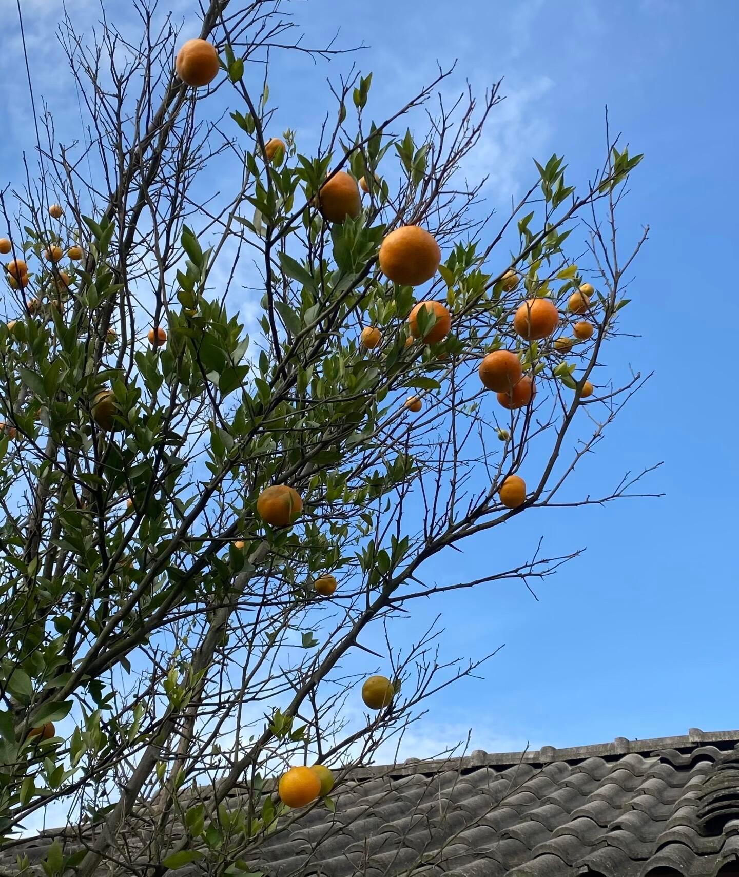 夏天夏天悄悄来临☀️留下小秘密🎵 ​​​