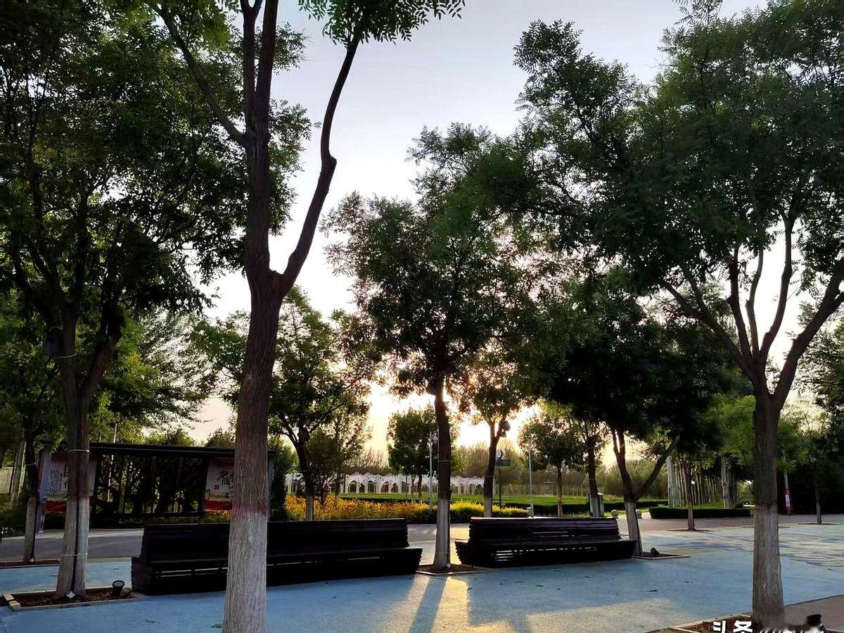 带娃遛弯时顺嘴一句“给你哥发视频”就能掀起八卦风暴，这位妈妈先是调侃...