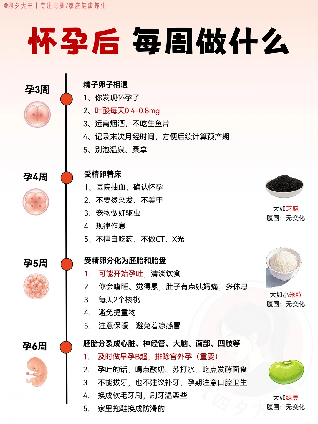 怀孕40周，每周的注意事项丨一篇讲明白‼️