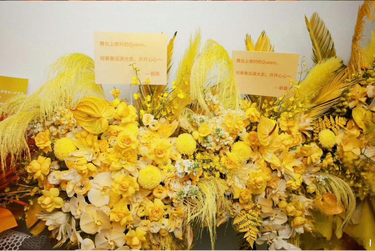 #张碧晨宋佳探班李宇春演唱会#
李宇春演唱会现场有好友加持，张碧晨宋佳前来探班，精心准备花篮，用实际行动表达对好友舞台的支持。 ​
